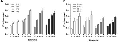 In vitro characterization of a pAgo nuclease TtdAgo from Thermococcus thioreducens and evaluation of its effect in vivo